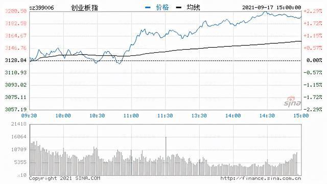 三大指数低开高走！上涨个股近5000只