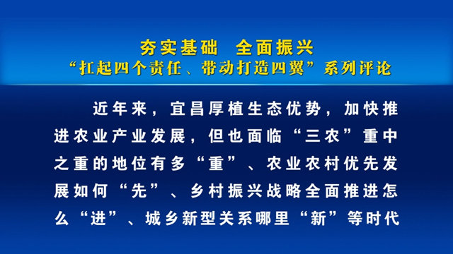 实施人形机器人突破等八大工程，湖北18条举措加快培育新质生产力