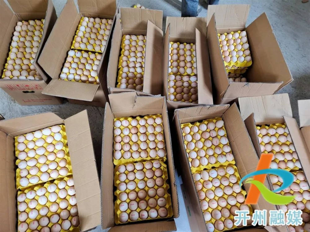 沙特公司首次向美国市场出口500万枚鸡蛋